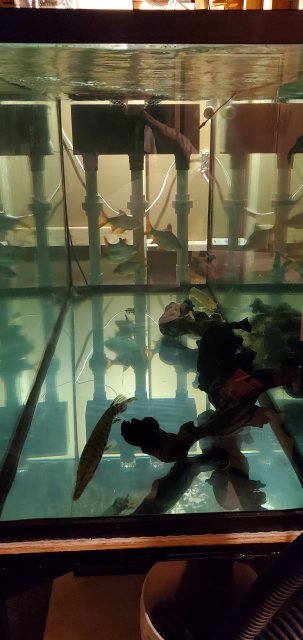 20211216_212851.jpg