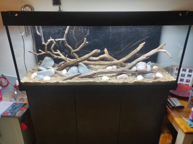 IMG_20211216_232301.jpg IMG_20211216_232301.jpg