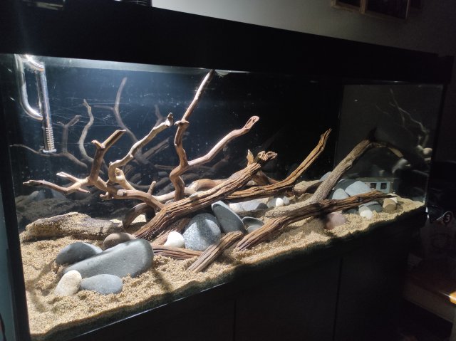 IMG_20211216_230842.jpg IMG_20211216_230842.jpg