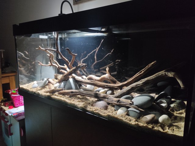 IMG_20211216_230833.jpg IMG_20211216_230833.jpg