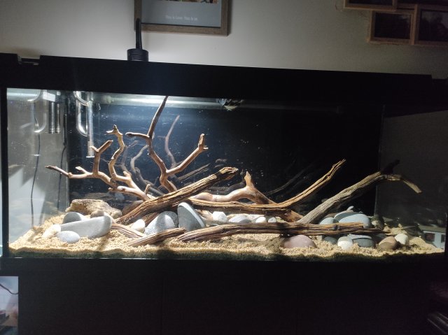 IMG_20211216_230805.jpg IMG_20211216_230805.jpg