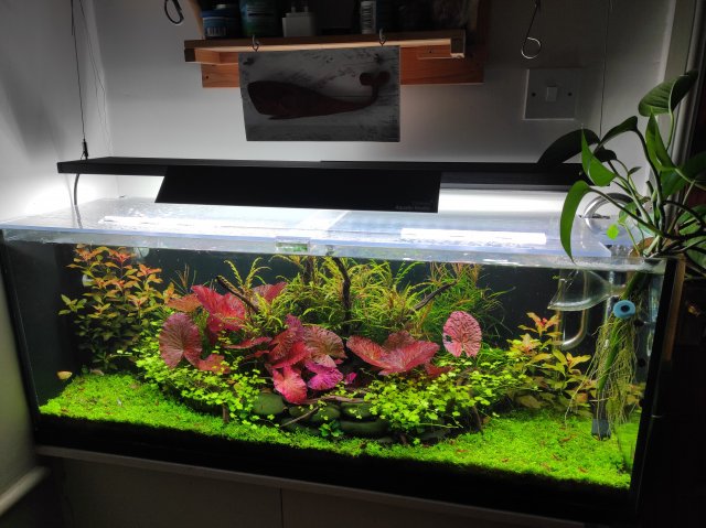 IMG_20210901_210758.jpg IMG_20210901_210758.jpg