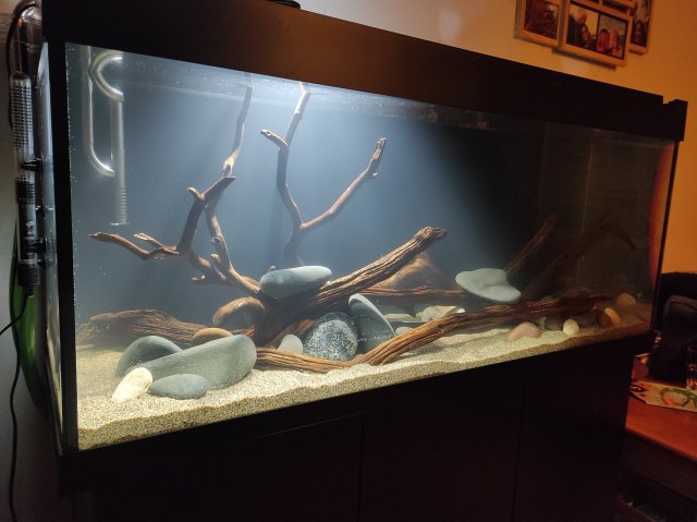 IMG_20211217_225206.jpg IMG_20211217_225206.jpg