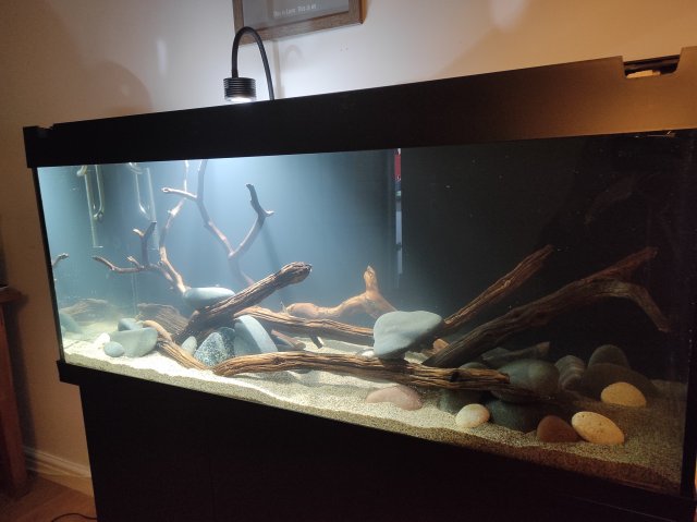 IMG_20211217_225154.jpg IMG_20211217_225154.jpg