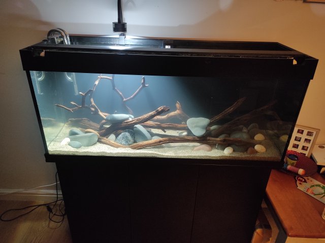 IMG_20211217_225120.jpg IMG_20211217_225120.jpg