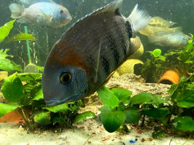 signal-2021-12-18-225840_001.jpeg signal-2021-12-18-225840_001.jpeg