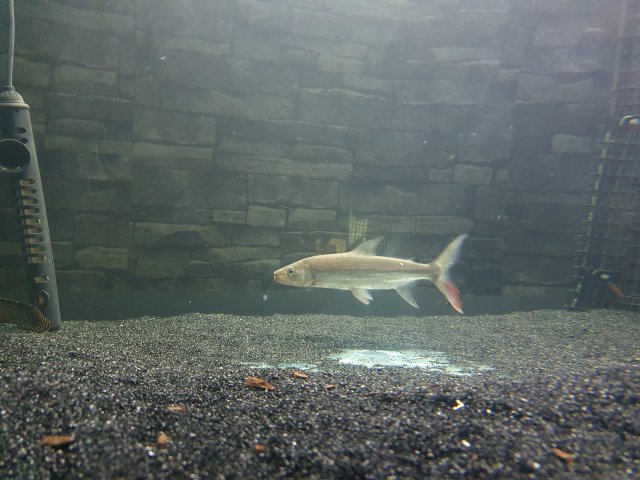 20211220_123145.jpg 20211220_123145.jpg