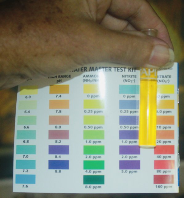 88FDBBFB-D4E7-46B4-87EF-AA67794C66FB_1_201_a.jpeg