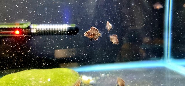 20211213_220126.jpg 20211213_220126.jpg