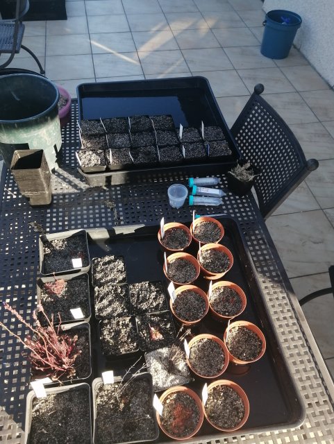 IMG_20211223_183744.jpg IMG_20211223_183744.jpg