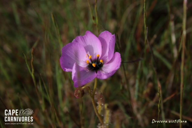 IMG_5120.jpg IMG_5120.jpg