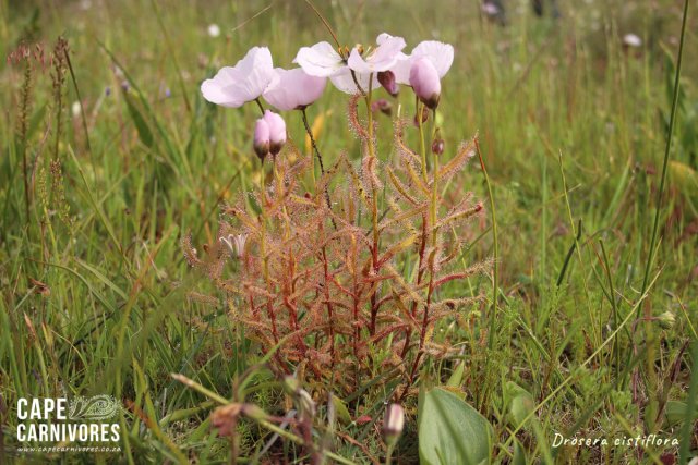 IMG_5157.jpg IMG_5157.jpg