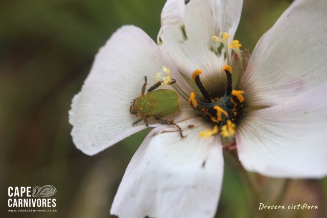 IMG_5189.jpg IMG_5189.jpg