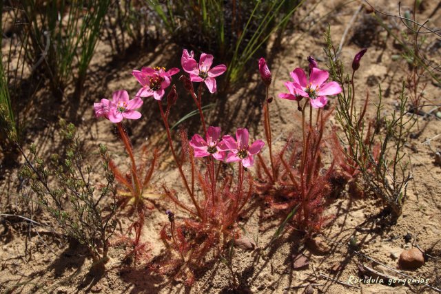 IMG_7180.jpg IMG_7180.jpg