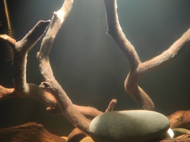 IMG_20211226_224144.jpg IMG_20211226_224144.jpg