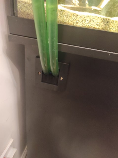 IMG_20211226_224038.jpg IMG_20211226_224038.jpg