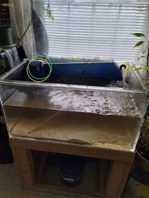 received_657787668912257.jpeg received_657787668912257.jpeg