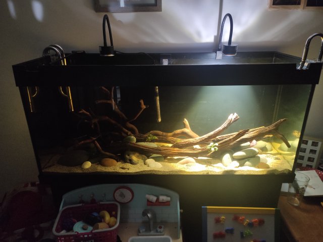 IMG_20211229_224007.jpg IMG_20211229_224007.jpg