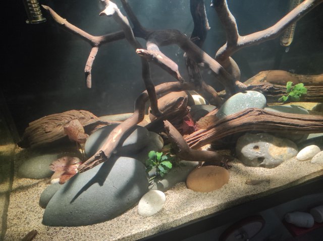 IMG_20211229_223946.jpg IMG_20211229_223946.jpg