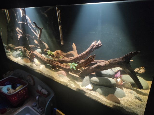 IMG_20211229_223936.jpg IMG_20211229_223936.jpg