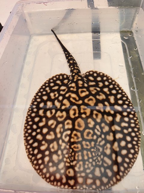 20211229_120010.jpg 20211229_120010.jpg