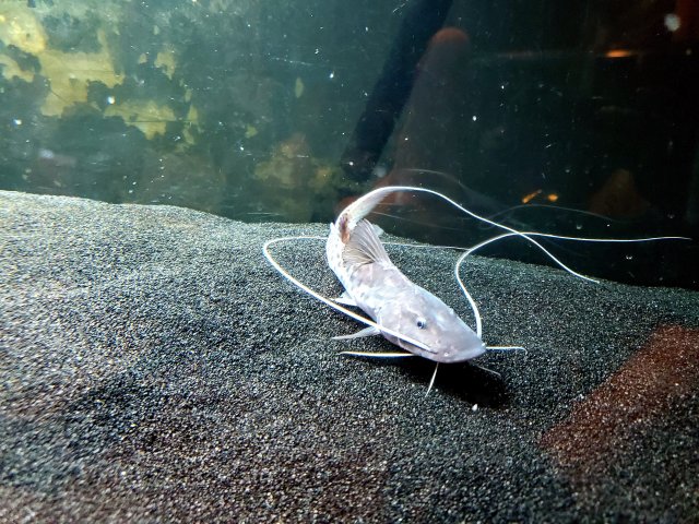 20211230_073439.jpg