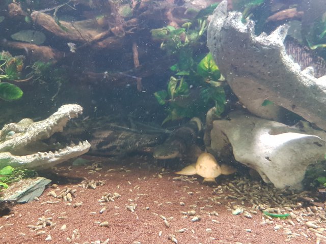 20220101_210401.jpg 20220101_210401.jpg