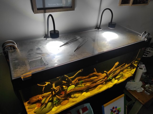 IMG_20220102_164509.jpg IMG_20220102_164509.jpg