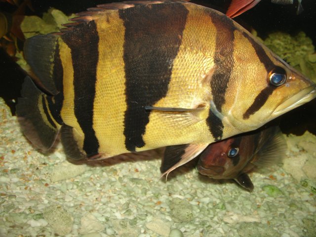 dsc07421.jpg