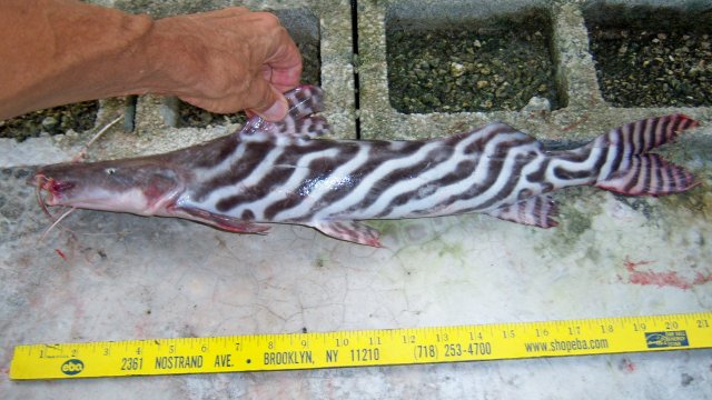 100_9878.JPG 100_9878.JPG
