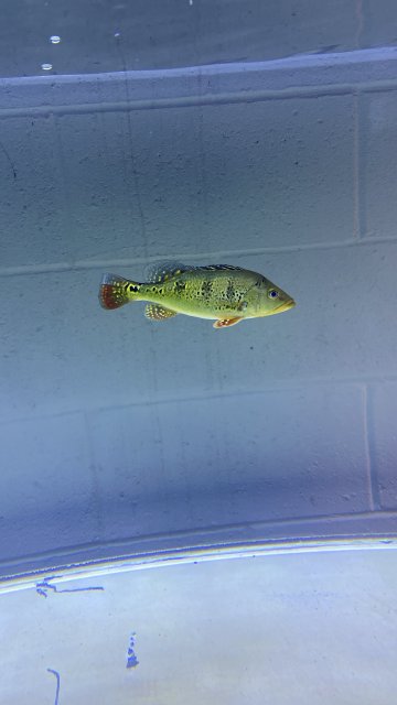 4B6B0306-902D-406B-89D6-BEE0C07D3079.jpeg