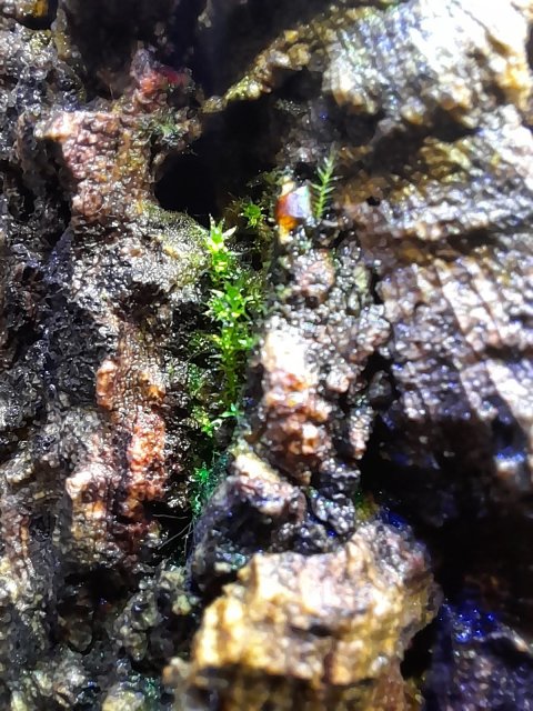 20220106_110444.jpg