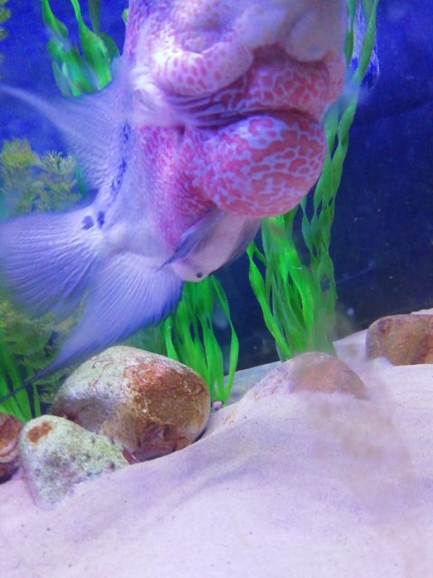 IMG_20220109_092253.jpg
