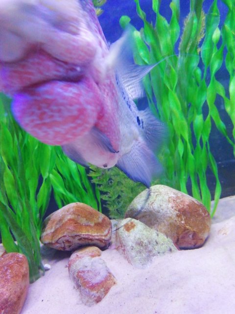 IMG_20220109_092249.jpg