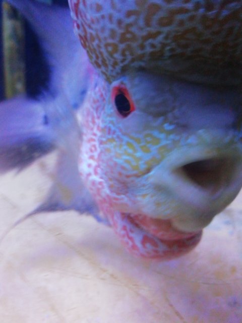 IMG_20220109_092226.jpg