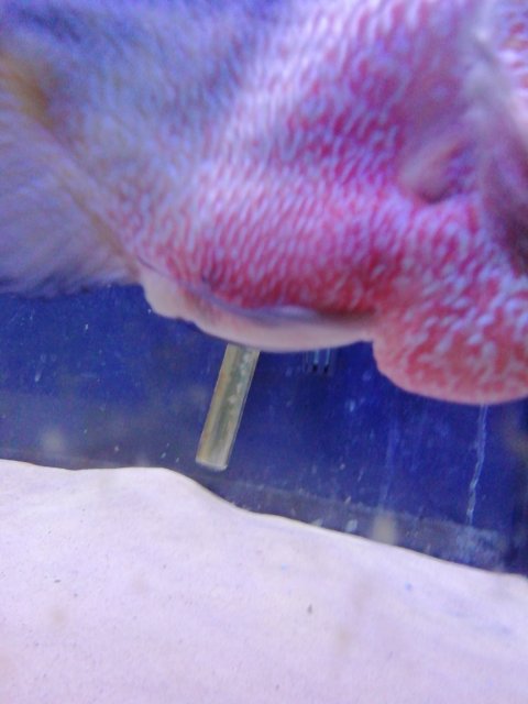IMG_20220102_120749.jpg