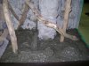 DSC00171.JPG