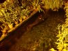 DSC00683aa.jpg