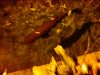 DSC00657aaa.jpg