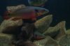 DSC04789.JPG
