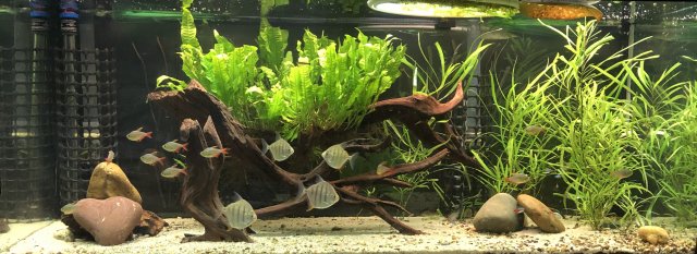 IMG_0356 Crop.jpg IMG_0356 Crop.jpg