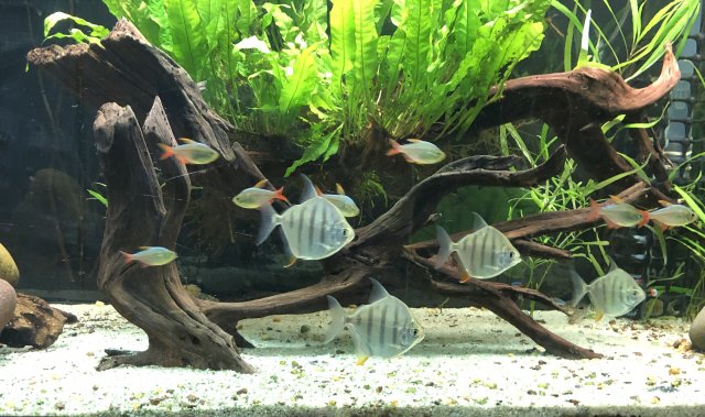 IMG_0360 Crop.jpg IMG_0360 Crop.jpg