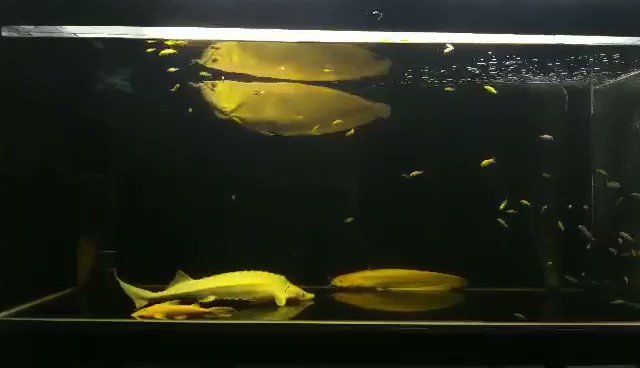 video-1642087611_Moment.jpg