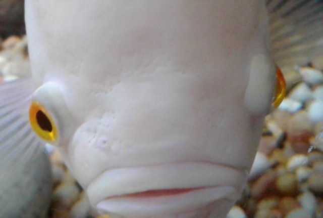 20180905_091412.jpg