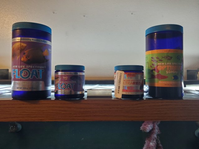 20210311_173625.jpg