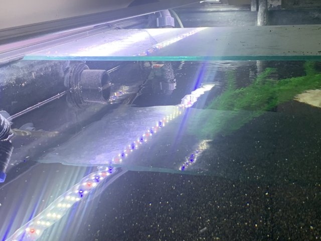 D4E04FC4-17F6-4A5C-9611-521A4CE58863.jpeg