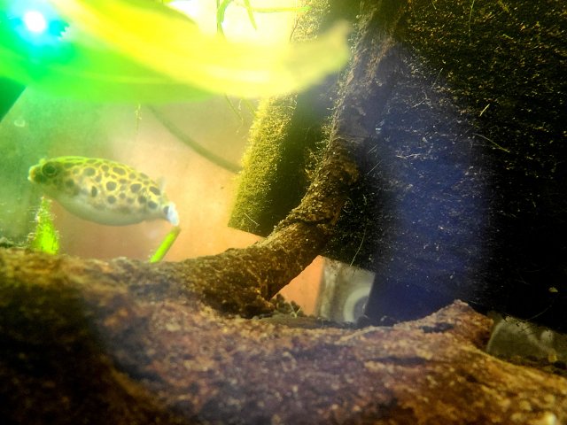 20220117_105633.jpg 20220117_105633.jpg