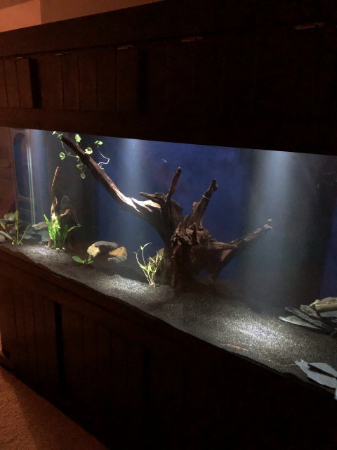 05E62203-3D43-4AB2-BFBC-C0E926E08420.jpeg 05E62203-3D43-4AB2-BFBC-C0E926E08420.jpeg