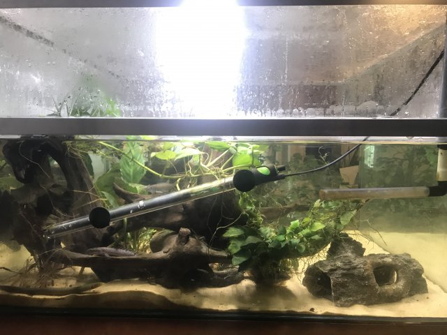 IMG_1172.jpg IMG_1172.jpg