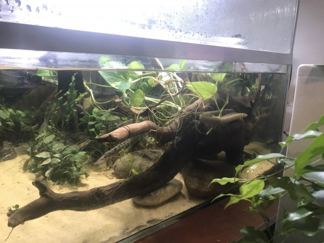 IMG_1173.jpg IMG_1173.jpg